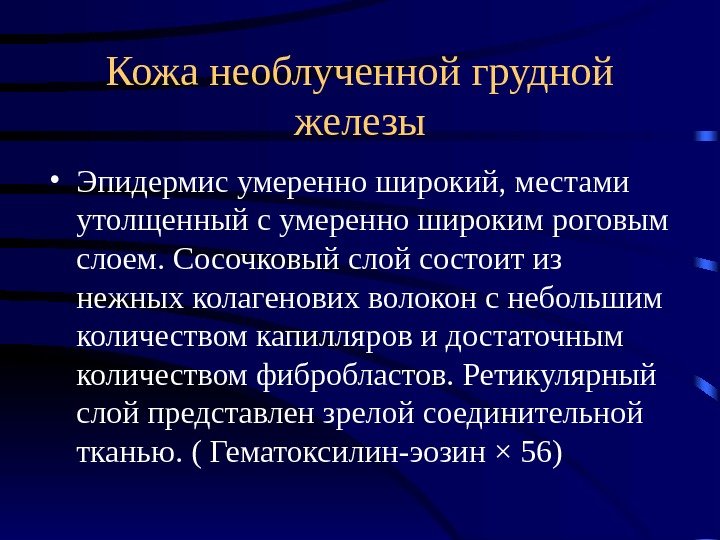 Кожа необлученной грудной железы • Эпидермис умеренно широкий, местами утолщенный с умеренно широким роговым