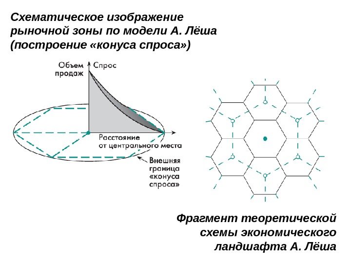 Схематическое изображение рыночной зоны по модели А. Лёша (построение «конуса спроса» ) Фрагмент теоретической