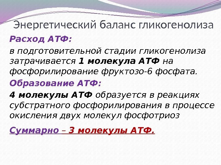 Энергетический баланс гликогенолиза Расход АТФ: в подготовительной стадии гликогенолиза затрачивается 1 молекула АТФ на