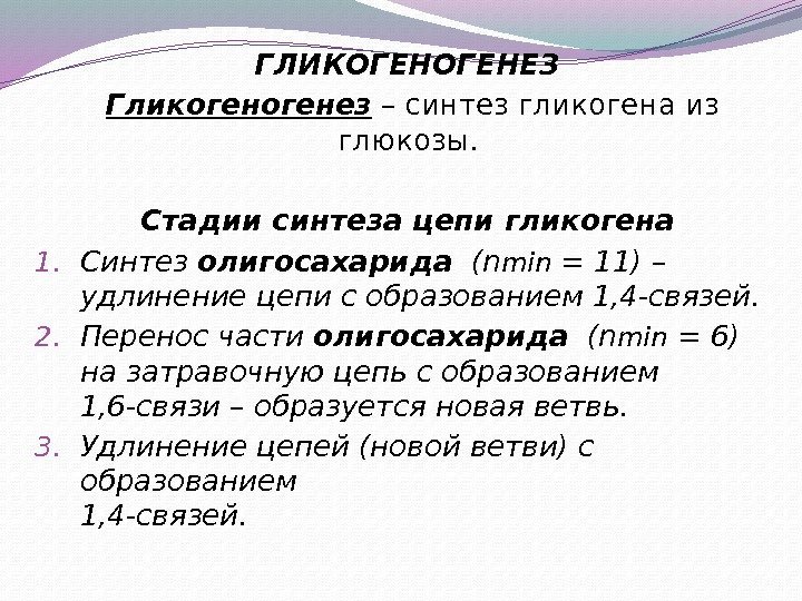 ГЛИКОГЕНЕЗ Гликогенез – синтез гликогена из глюкозы. Стадии синтеза цепи гликогена 1. Синтез олигосахарида