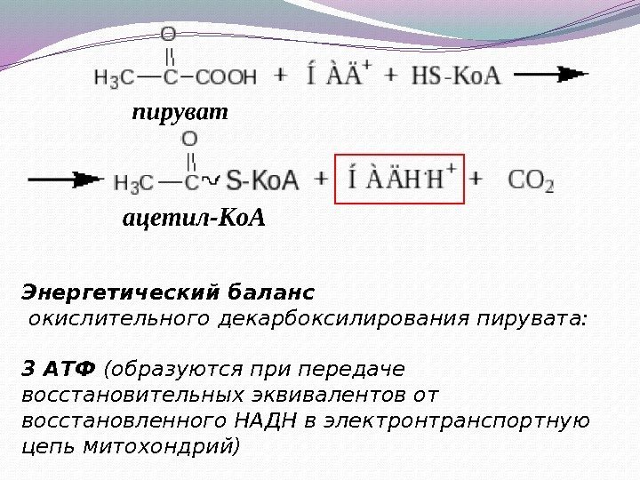 Энергетический баланс  окислительного декарбоксилирования пирувата: 3 АТФ (образуются при передаче восстановительных эквивалентов от