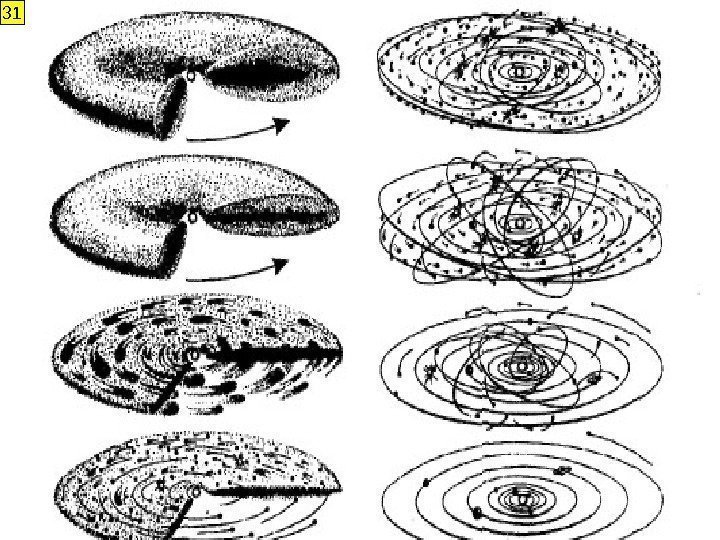 Отто Юльевич Шмидт (1891 -1956) • Космогоническая теория образования тел Солнечной системы из газовой