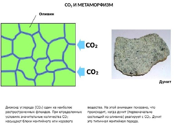    МЕТАОРФИЧЕСКИЕ ПОРОДЫ CO 2  И МЕТАМОРФИЗМ 