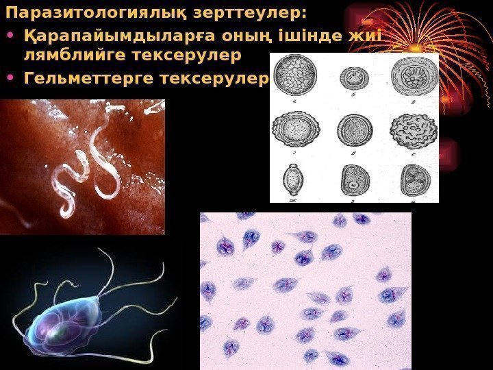 Паразитологиялық зерттеулер:  • Қарапайымдыларға оның ішінде жиі лямблийге тексерулер • Гельметтерге тексерулер 