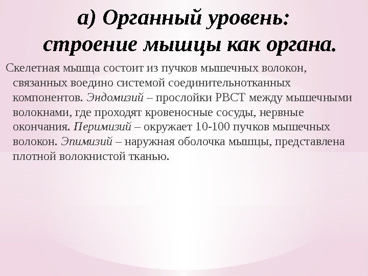 а) Органный уровень:  строение мышцы как органа. Скелетная мышца состоит из пучков мышечных