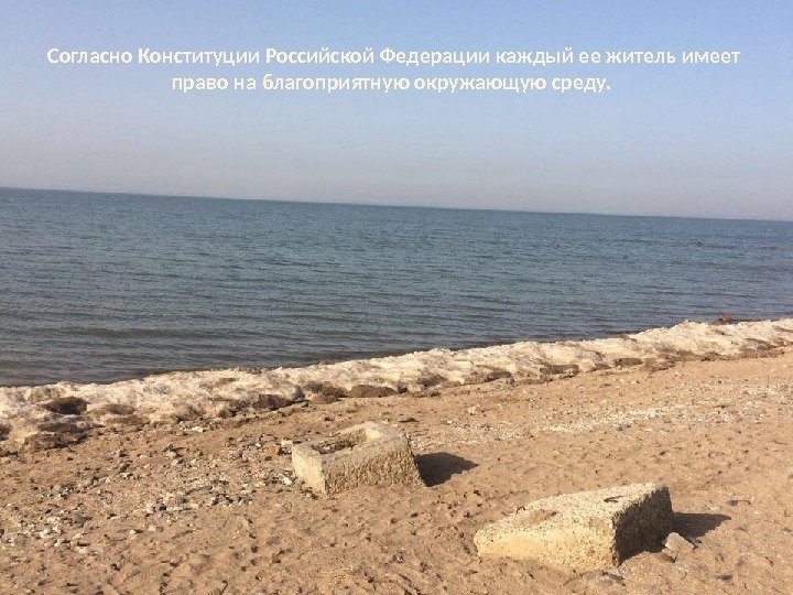 Согласно Конституции Российской Федерации каждый ее житель имеет право на благоприятную окружающую среду. 