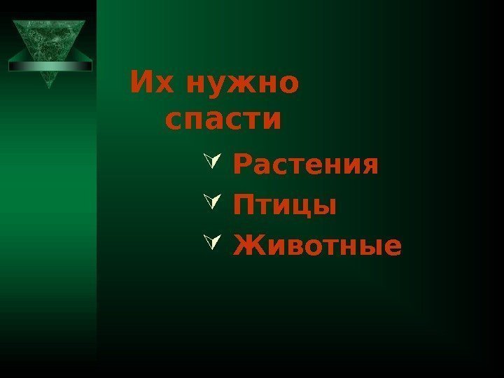   Растения Птицы Животные. Их нужно спасти  