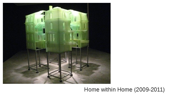 Home within Home (2009 -2011) 