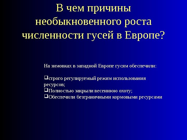 В чем причины необыкновенного роста численности гусей в Европе? На зимовках в западной Европе