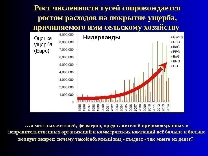 Р ост численности гусей сопровождается ростом расходов на покрытие ущерба,  причиняемого ими сельскому