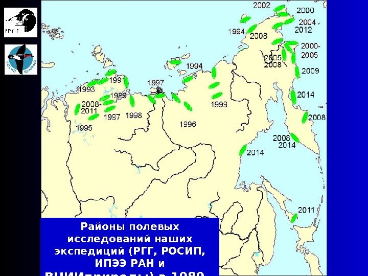 Районы полевых исследований наших экспедиций (РГГ, РОСИП,  ИПЭЭ РАН и ВНИИприроды) в 1989