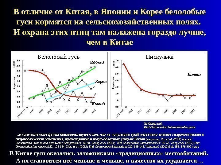 В отличие от Китая, в Японии и Корее белолобые гуси кормятся на сельскохозяйственных полях.