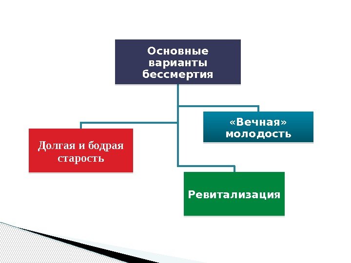 Основные варианты бессмертия Долгая и бодрая старость «Вечная»  молодость Ревитализация  0 C