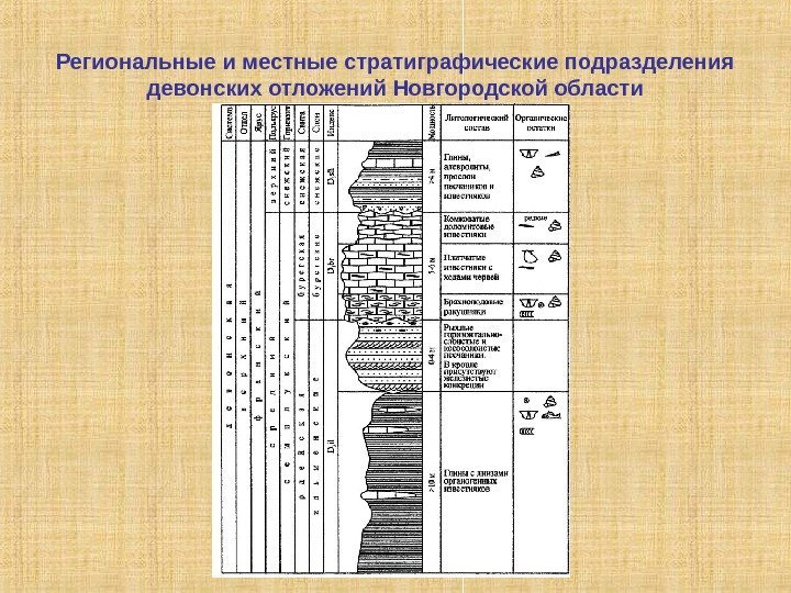 Региональные и местные стратиграфические подразделения девонских отложений Новгородской области 