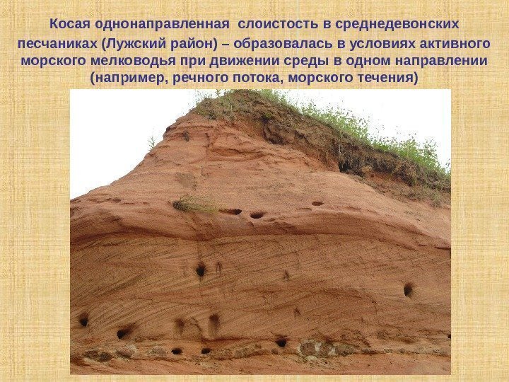 Косая однонаправленная  слоистость в среднедевонских песчаниках (Лужский район) – образовалась в условиях активного