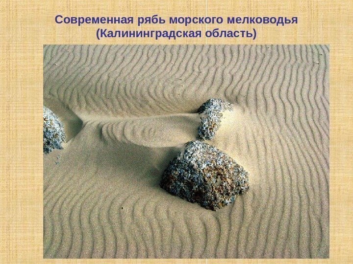 Современная рябь морского мелководья (Калининградская область) 