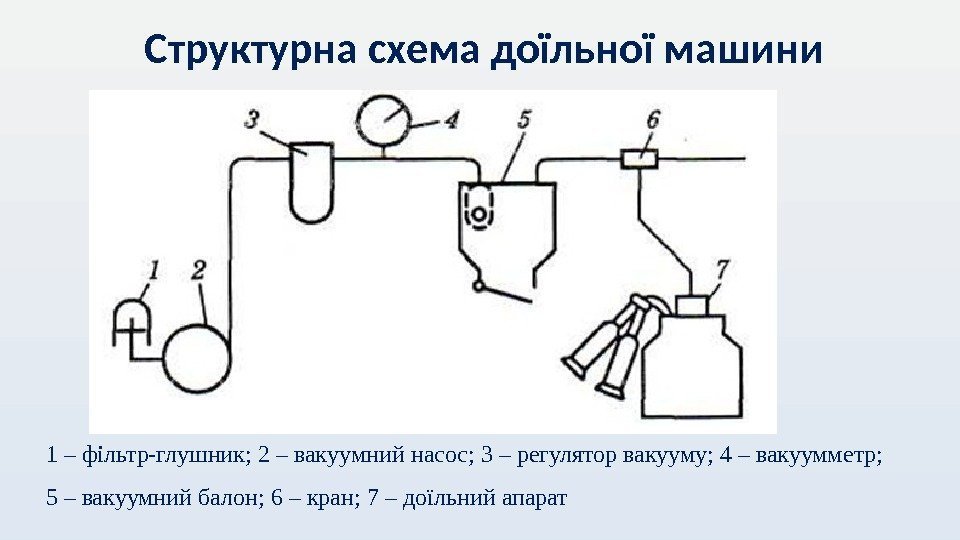 Структурна схема доїльної машини 1 – фільтр-глушник; 2 – вакуумний насос; 3 – регулятор