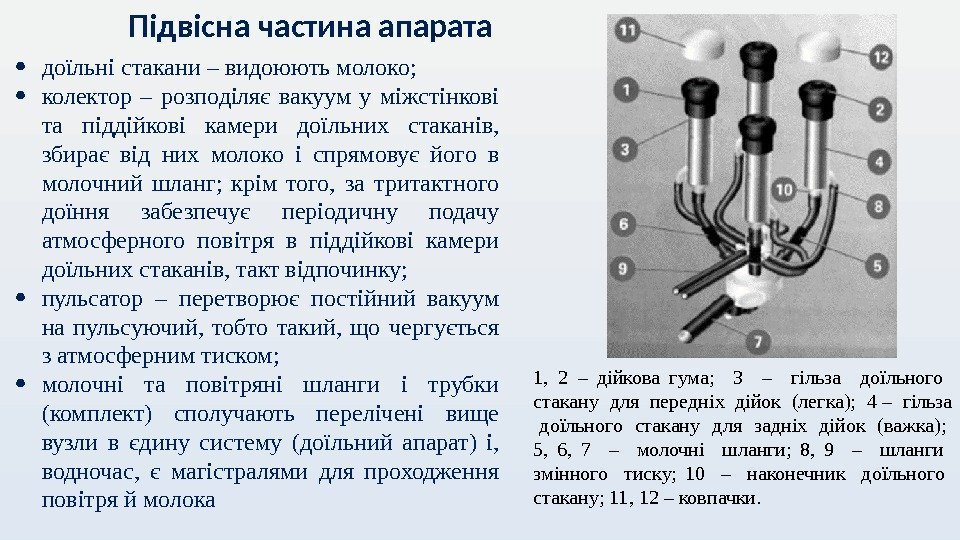 Підвісна частина апарата 1,  2 – дійкова гума; 3  –  гільза