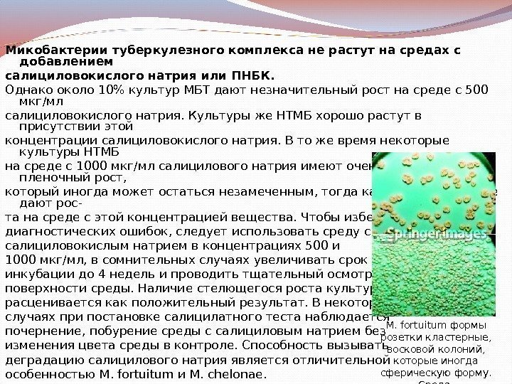 Микобактерии туберкулезного комплекса не растут на средах с добавлением салициловокислого натрия или ПНБК. Однако