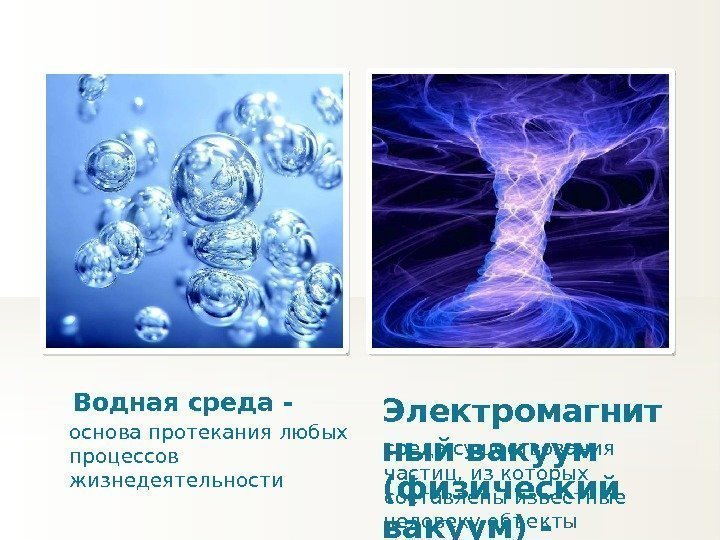 Водная среда - основа протекания любых процессов жизнедеятельности Электромагнит ный вакуум (физический вакуум) -