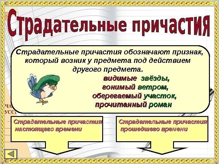   Страдательные причастия обозначают признак,  который возник у предмета под действием другого