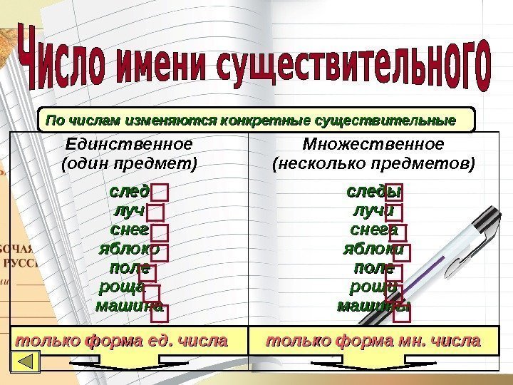 Единственное (один предмет) Множественное (несколько предметов) след лучлуч снег яблоко поле роща  машина