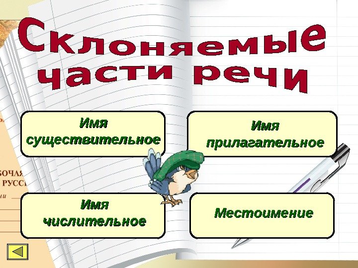 Имя существительное Имя прилагательное Имя числительное Местоимение 