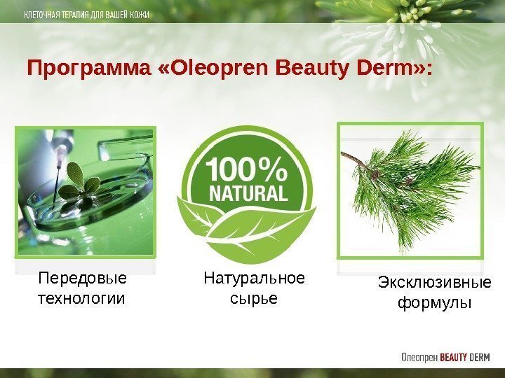 Программа «Oleopren Beauty Derm» : Передовые технологии Натуральное сырье Эксклюзивные формулы  