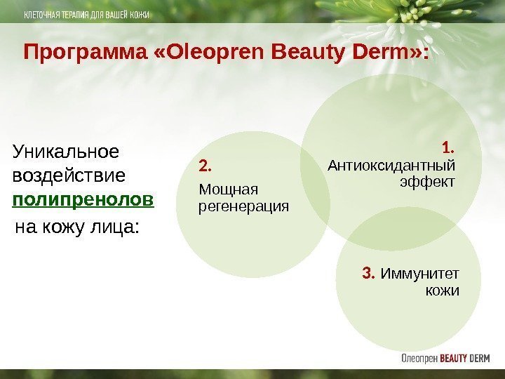 Программа «Oleopren Beauty Derm» : Уникальное воздействие полипренолов на кожу лица: 1.  Антиоксидантный