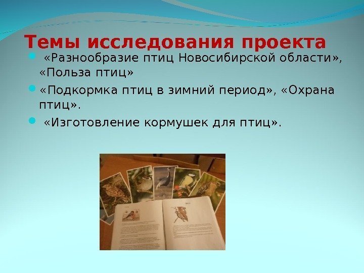 Темы исследования проекта «Разнообразие птиц Новосибирской области» ,  «Польза птиц»  «Подкормка птиц