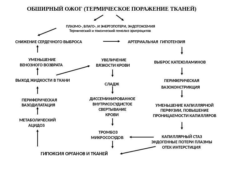 ОБШИРНЫЙ ОЖОГ (ТЕРМИЧЕСКОЕ ПОРАЖЕНИЕ ТКАНЕЙ)  ПЛАЗМО-, ВЛАГО-, И ЭНЕРГОПОТЕРИ, ЭНДОТОКСЕМИЯ Термический и токсический