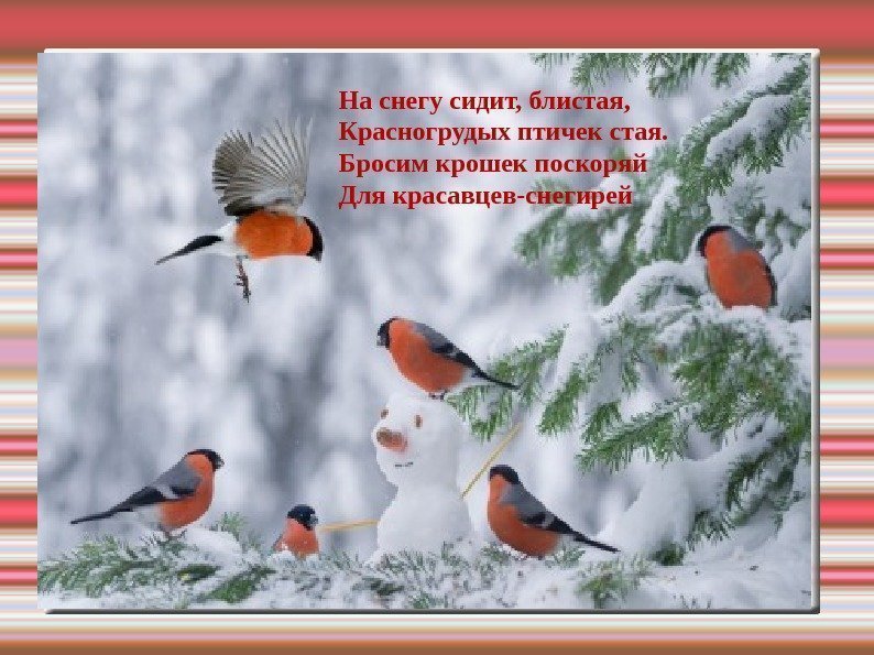 На снегу сидит, блистая, Красногрудых птичек стая. Бросим крошек поскоряй Для красавцев-снегирей 