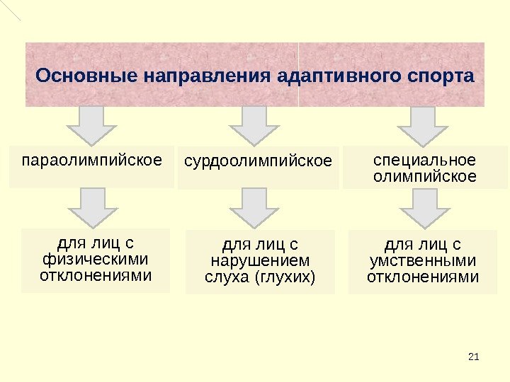 21 Основные направления адаптивного спорта параолимпийское для лиц с физическими отклонениями сурдоолимпийское для лиц