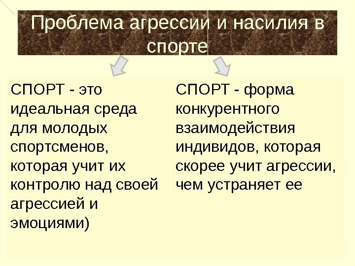 Проблема агрессии и насилия в спорте СПОРТ - это идеальная среда для молодых спортсменов,