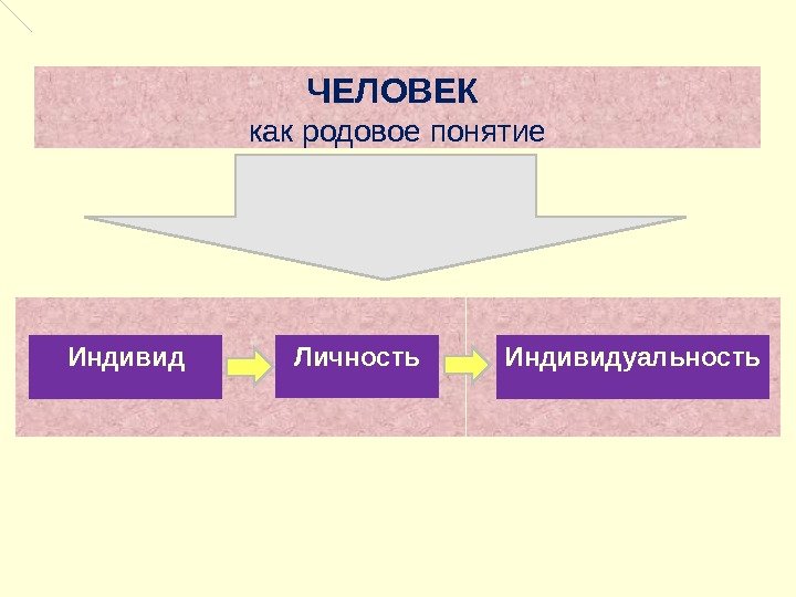 ЧЕЛОВЕК как родовое понятие Индивид Личность Индивидуальность 