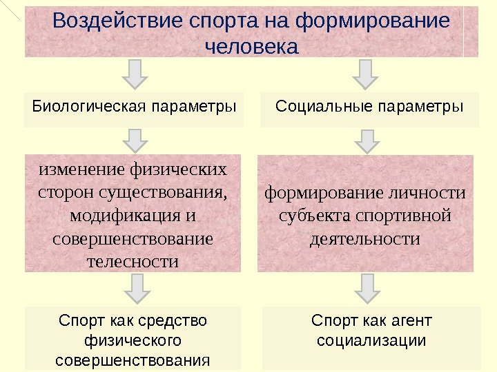 Воздействие спорта на формирование человека Биологическая параметры Социальные параметры изменение физических сторон существования, 