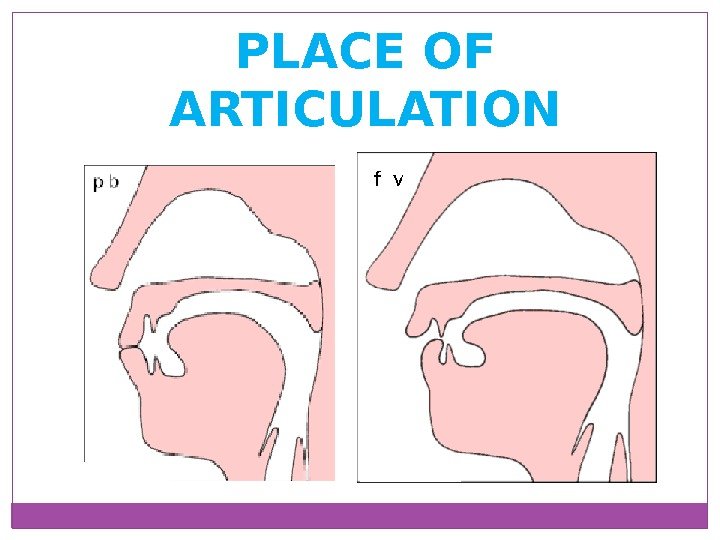 PLACE OF ARTICULATION 