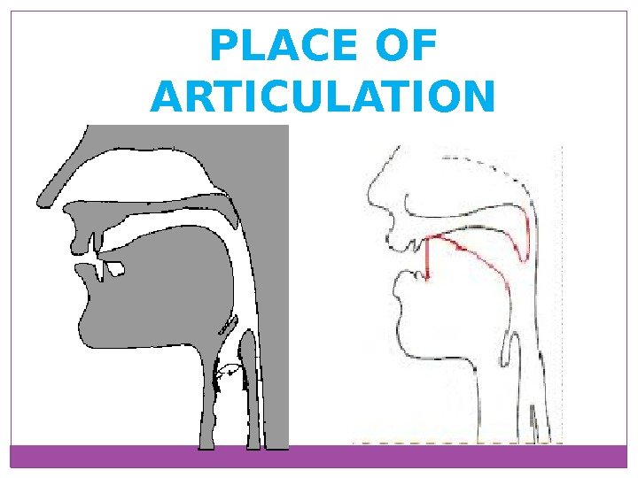 PLACE OF ARTICULATION 