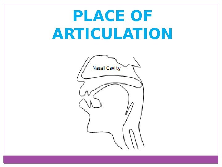 PLACE OF ARTICULATION 