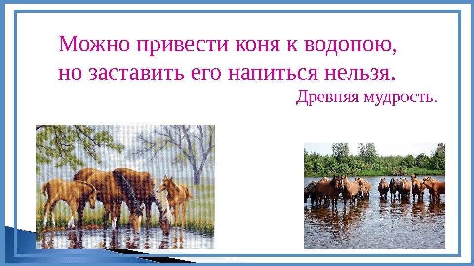 Можно привести коня к водопою,  но заставить его напиться нельзя. Древняя мудрость. 