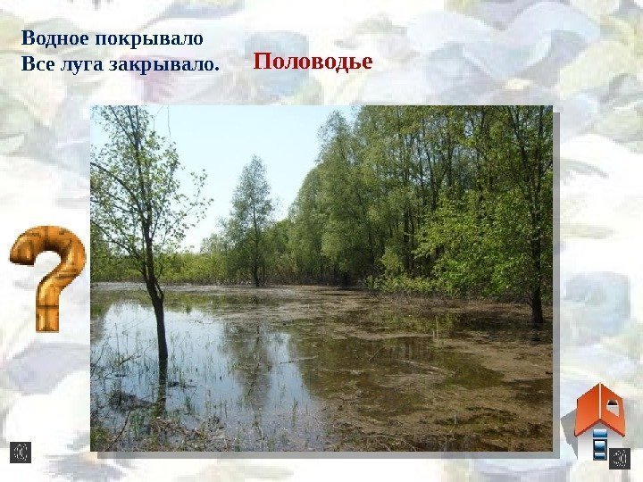 Водное покрывало Все луга закрывало.  Половодье 