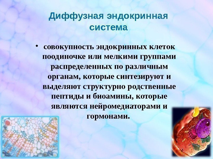Диффузная эндокринная система • совокупность эндокринных клеток поодиночке или мелкими группами распределенных по различным