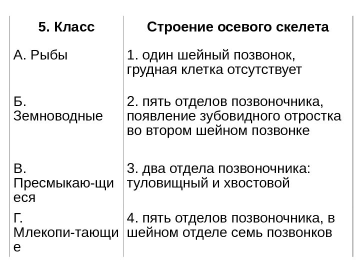 5. Класс Строение осевого скелета А. Рыбы 1. один шейный позвонок,  грудная клетка