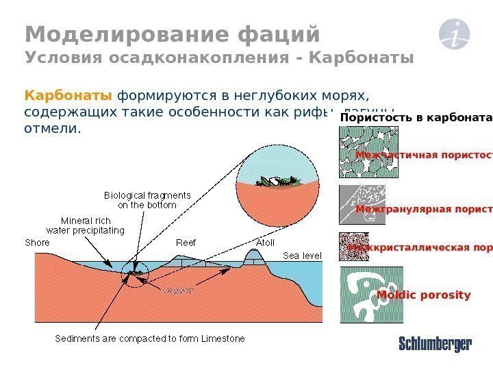 Моделирование фаций Условия осадконакопления - Карбонаты формируются в неглубоких морях,  содержащих такие особенности