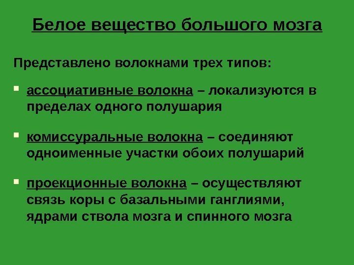 Белое вещество большого мозга Представлено волокнами трех типов:  ассоциативные волокна – локализуются в