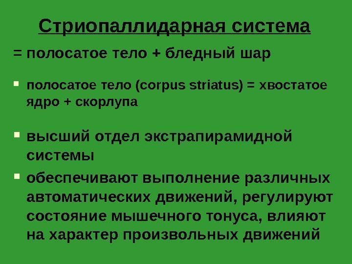 Стриопаллидарная система = полосатое тело + бледный шар полосатое тело ( corpus striatus) =