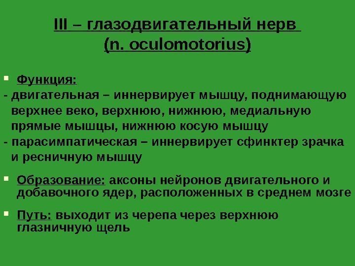 III – глазодвигательный нерв ( n. oculomotorius) Функция: - двигательная – иннервирует мышцу, поднимающую