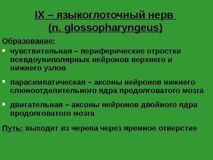 IX – языкоглоточный нерв (n. glossopharyngeus) Образование:  чувствительная – периферические отростки псевдоуниполярных нейронов