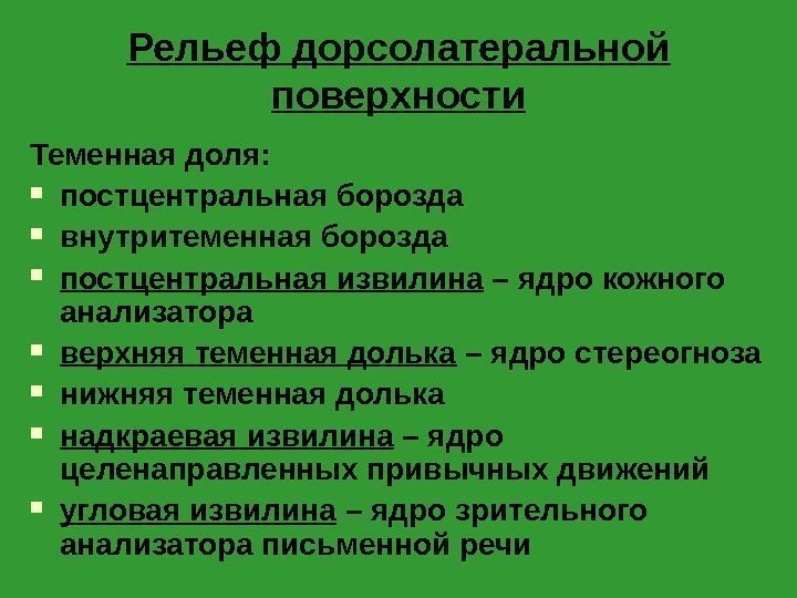 Рельеф дорсолатеральной поверхности Теменная доля:  постцентральная борозда внутритеменная борозда постцентральная извилина – ядро