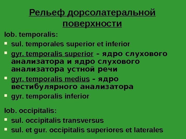 Рельеф дорсолатеральной поверхности lob. temporalis :  sul. temporales superior et inferior  gyr.